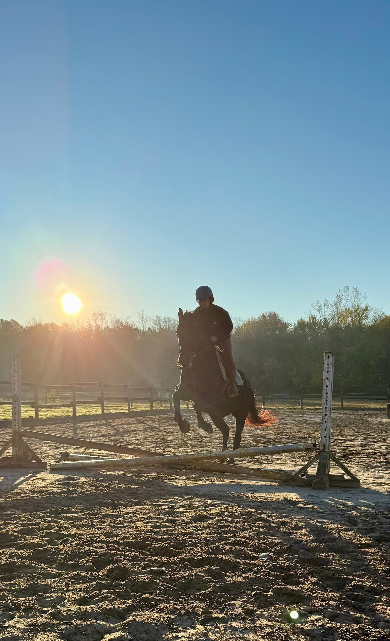 Carousel Stables