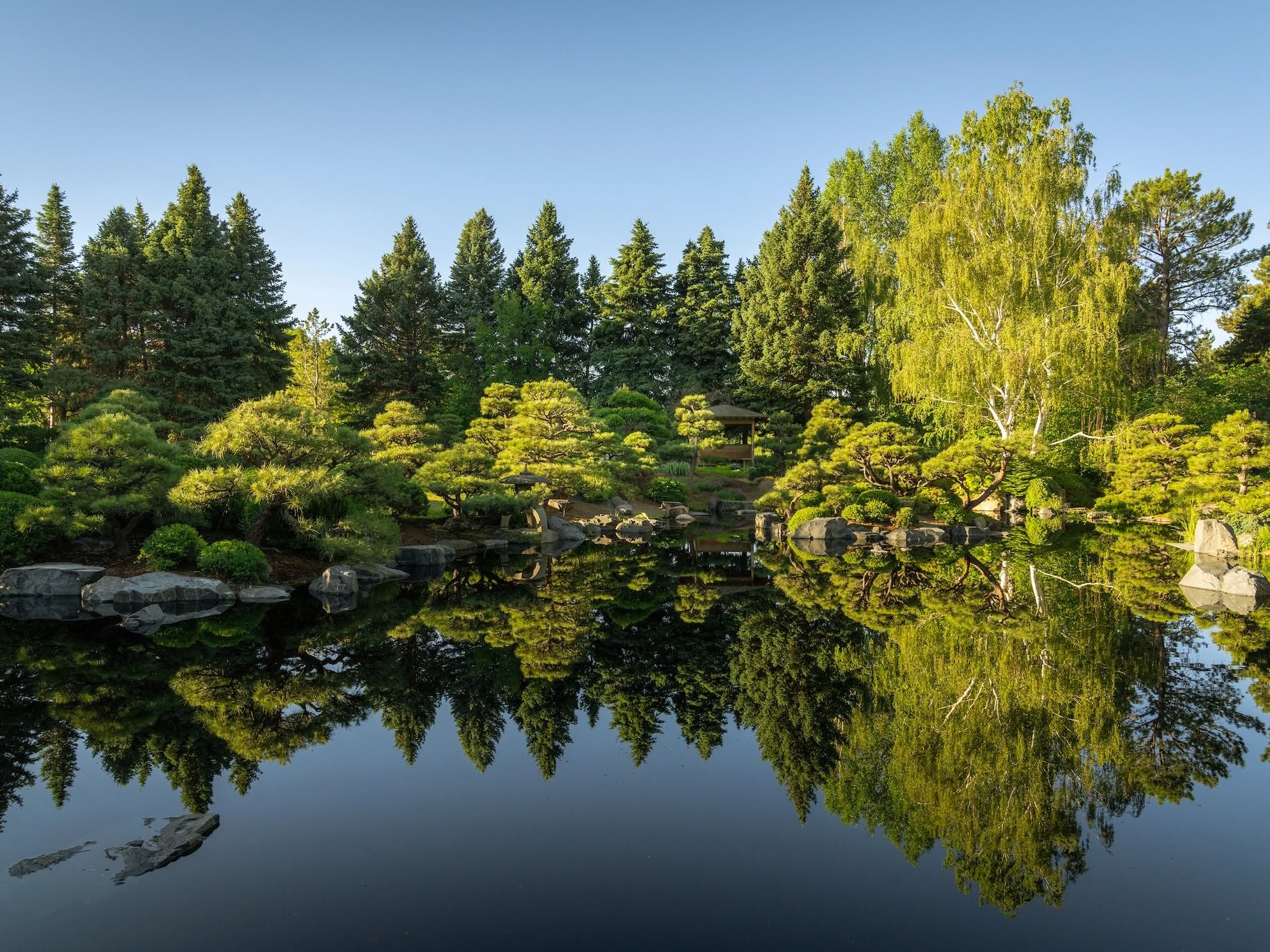 May summer's natural beauty and peace meet you where you are this