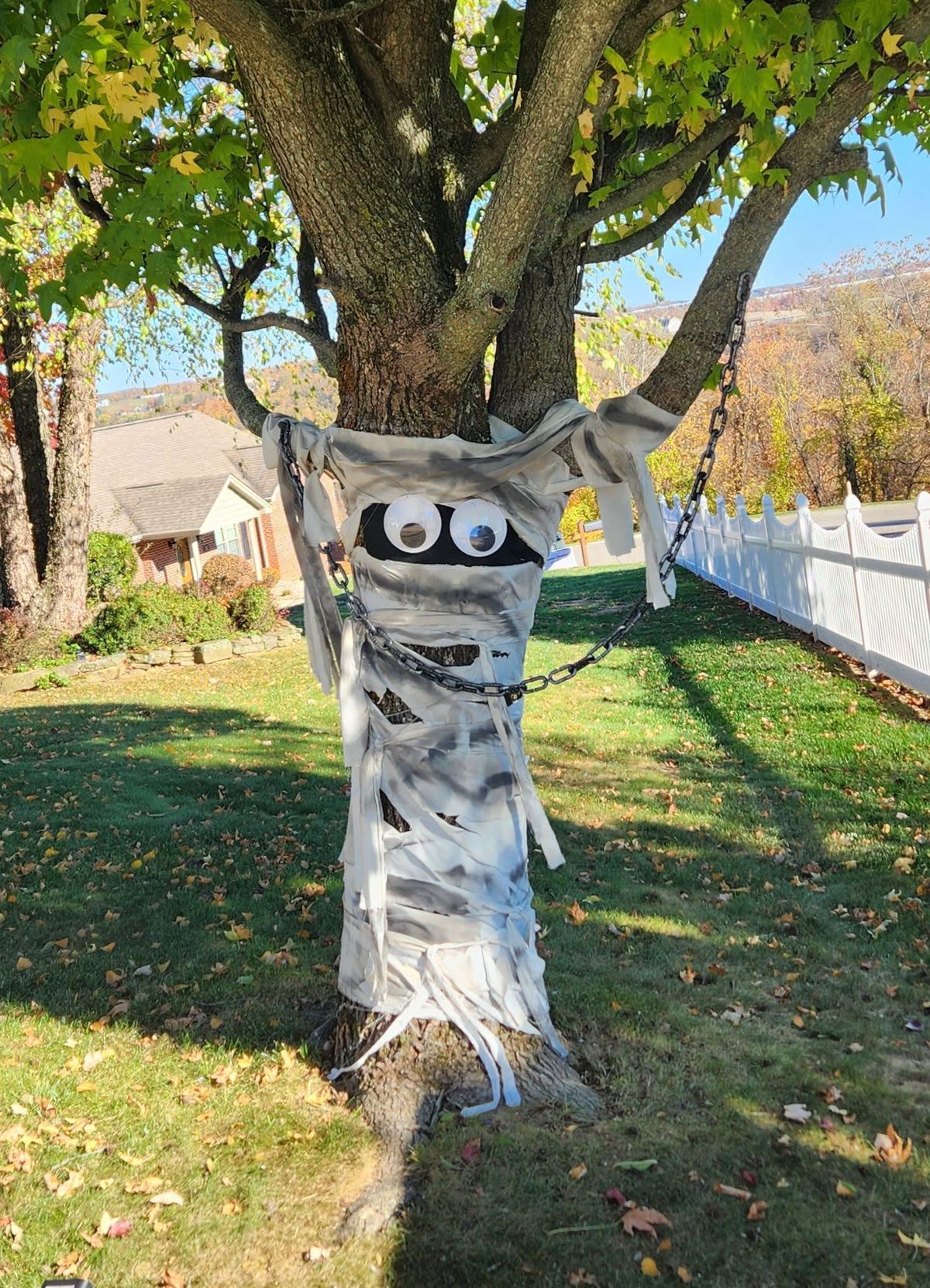 Amazing - 🌳👀 This tree mummy is giving major Halloween vibes! Wrapped ...