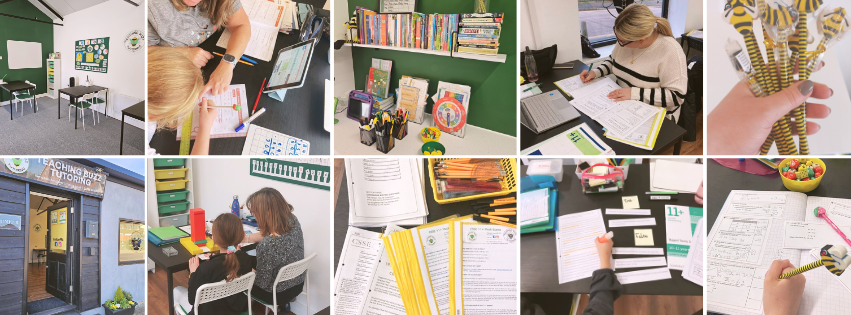 Teaching Buzz Tutoring | Rayleigh