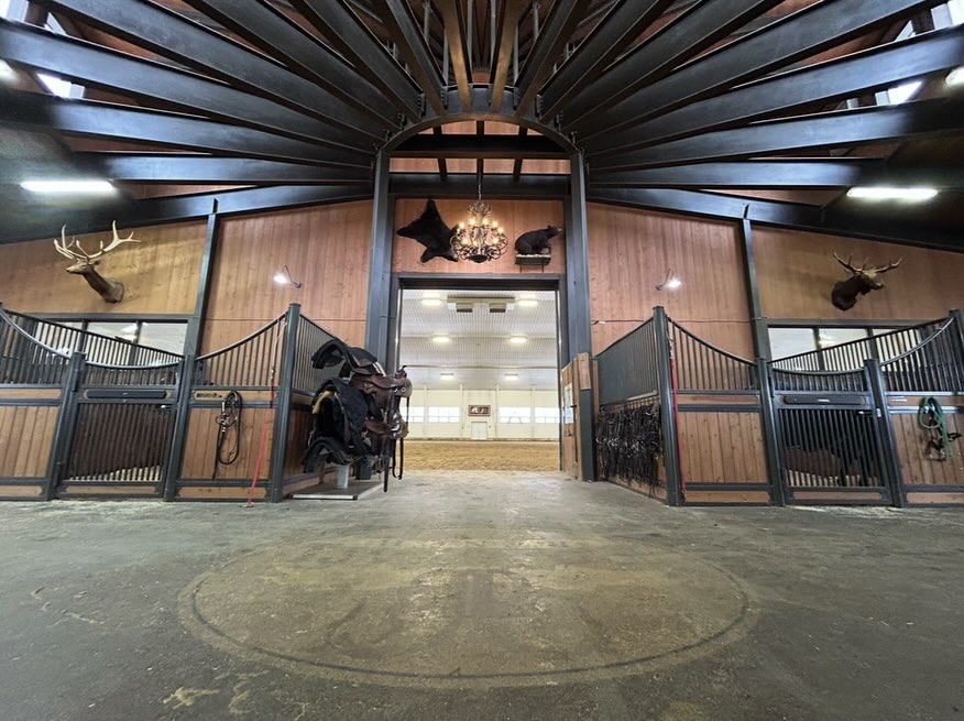 Epis Performance Horses
