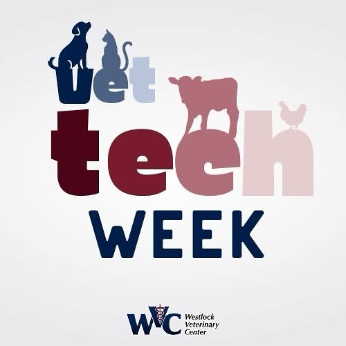 Westlock - It’s National Vet Tech Week! WHAT DOES THAT MEAN? It’s a ...