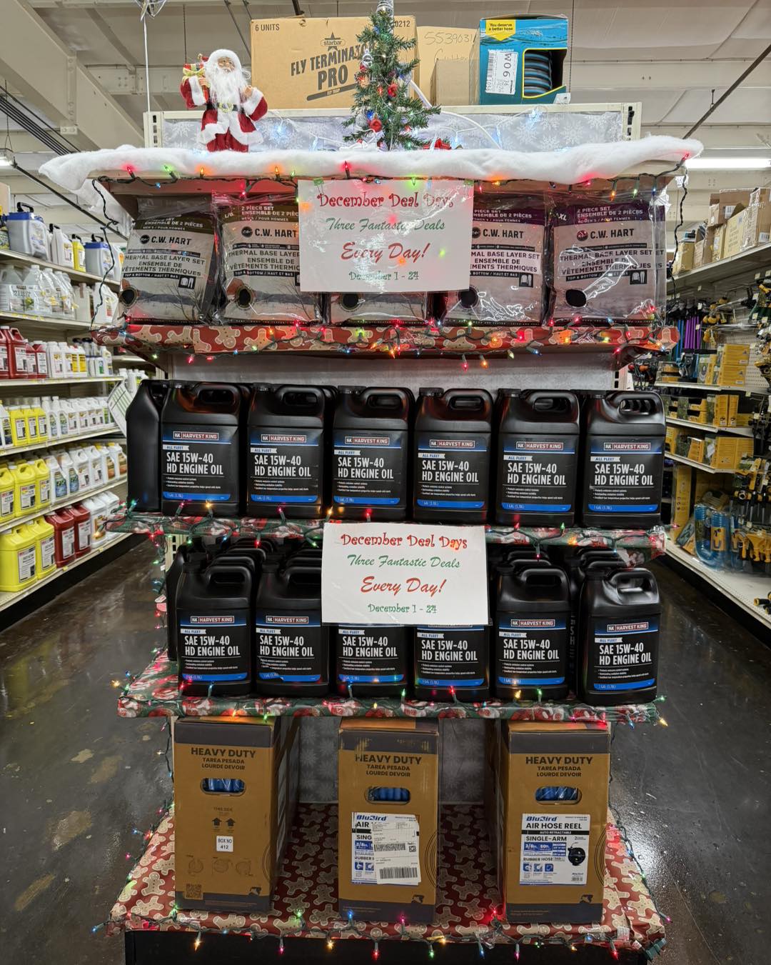 Big Blue Store - 🗣️ ICYMI . . . December Daily Deals for... | Facebook