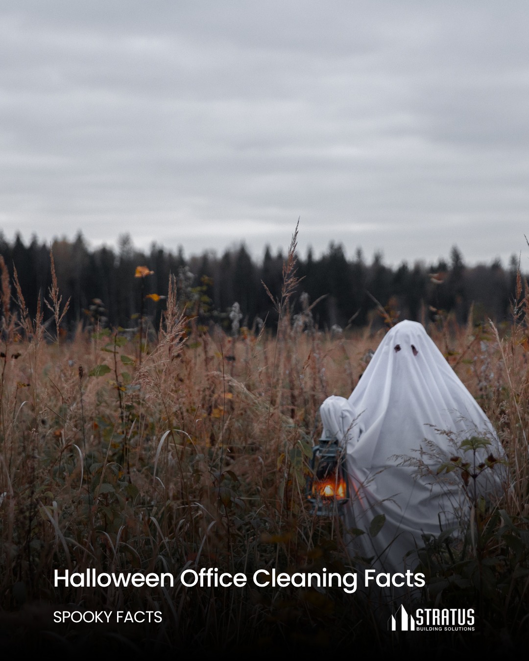 🎃 Halloween Office Cleaning... - Stratus Building Solutions | Facebook