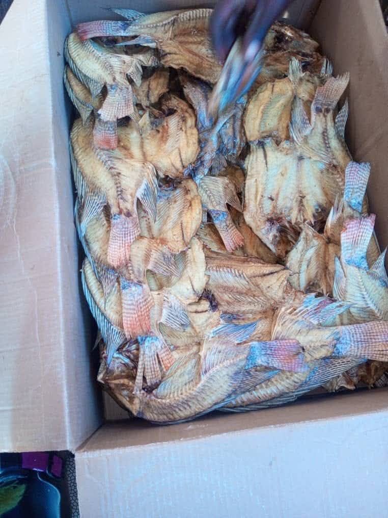 dry fish box Bacalao - Dried and Salted Cod omega 3 fatty acids and vitamin B12 which all lead toward a healthier heart if eaten regularly Fish Drying Rack and Dried