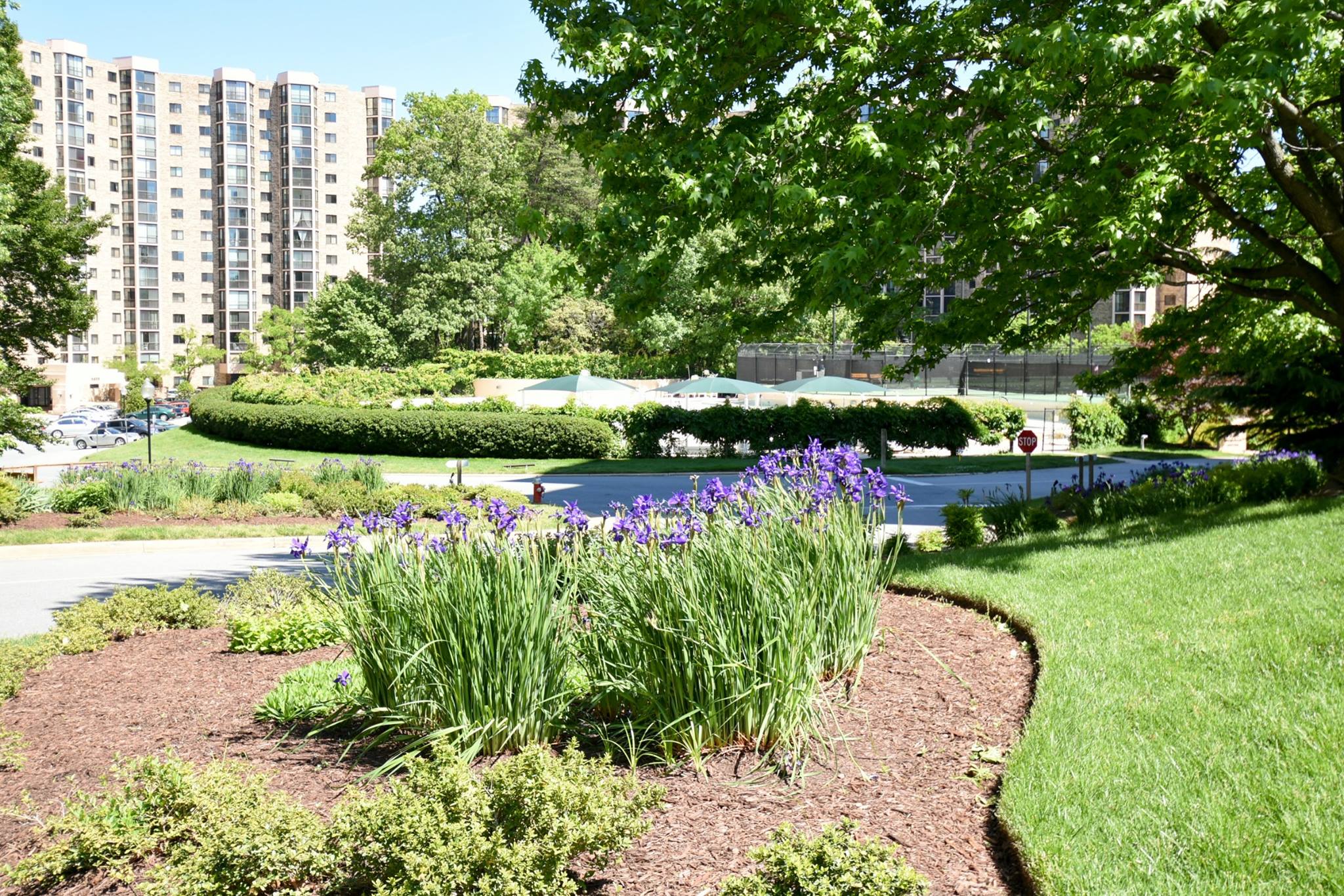 Montebello Alexandria | Alexandria VA