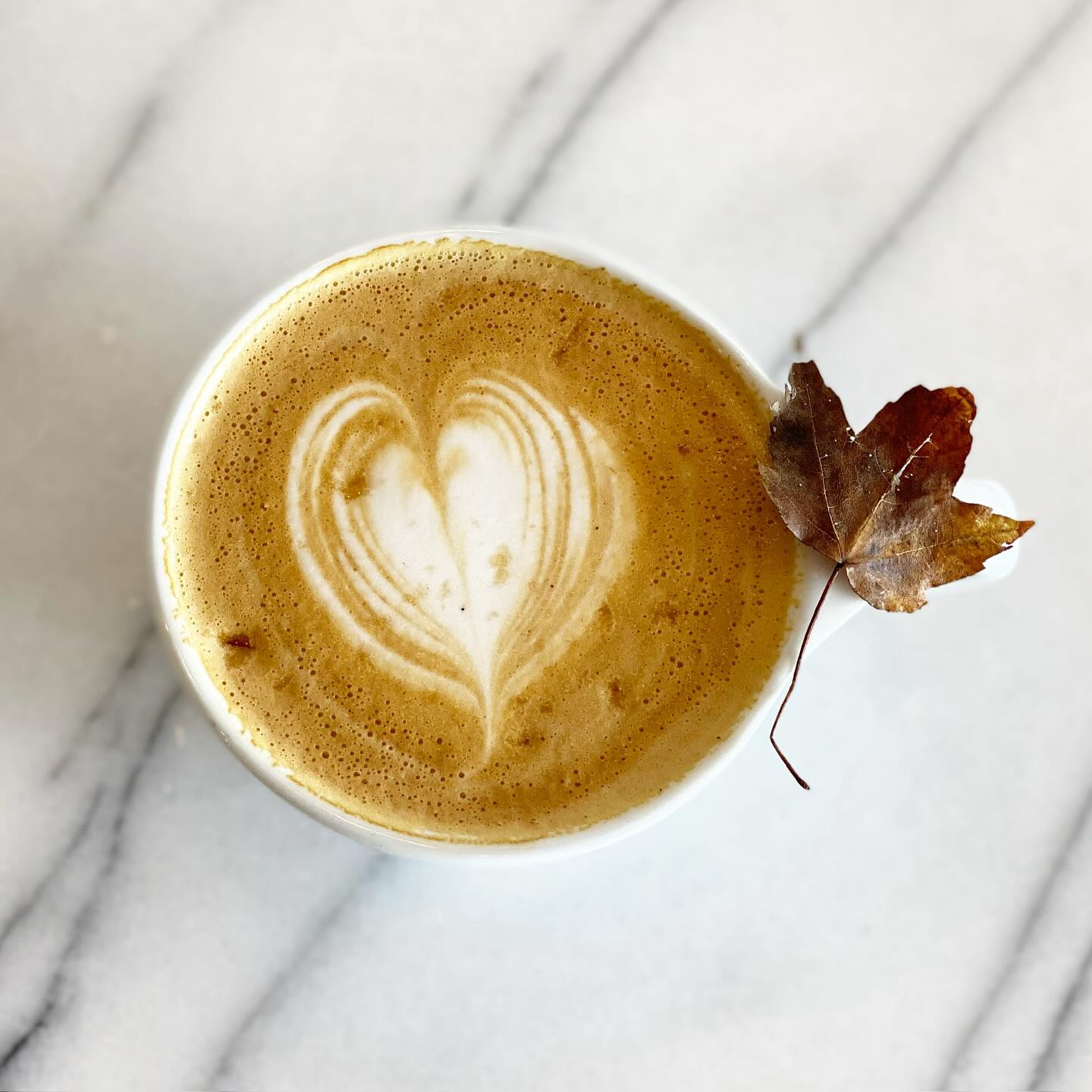 CAVU - a maple latte is the perfect fall drink 🍁 always made with pure ...