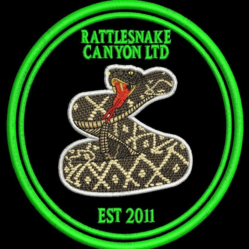 Rattlesnake - Baron's Racer (Philodryas baroni) 1 pair in stock, how ...