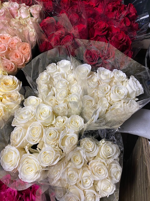 Ecker's - Ecker's Flowers Caring Rose Week is here!!! Take home ...