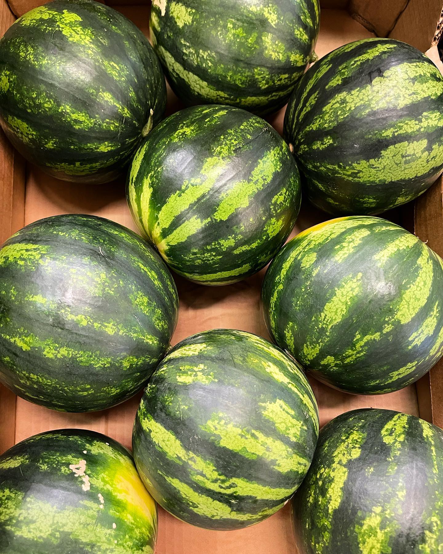 La Centrale - 🍉 Mini angurie Sicilia 🍉 #anguria #sicilia... | Facebook