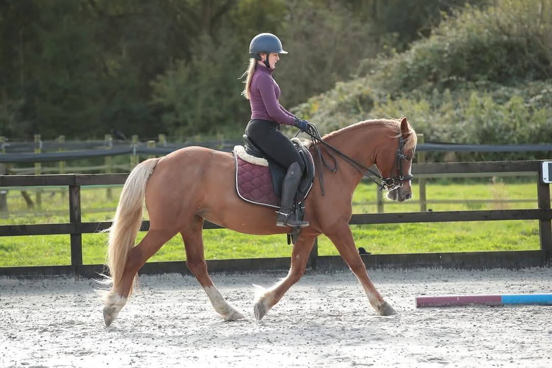 NEW COACH ANNOUNCEMENT... - All-Steps Formation Riding | Facebook