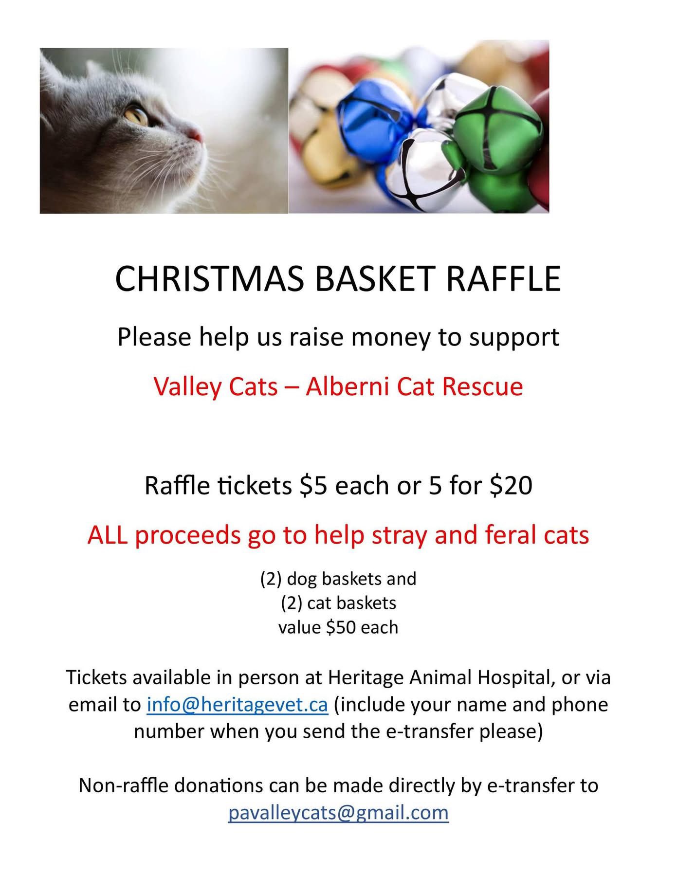 Valley Cats - Alberni Cat Rescue | Facebook
