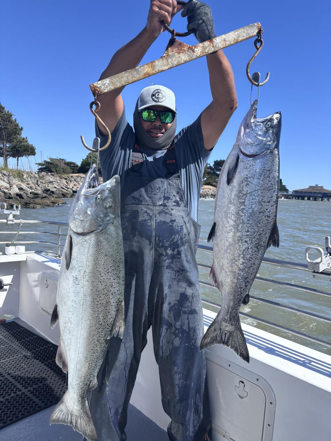 best fishing lures for may Personal Floating Glide Baits – White Water Outfitters Bass Assassin 4