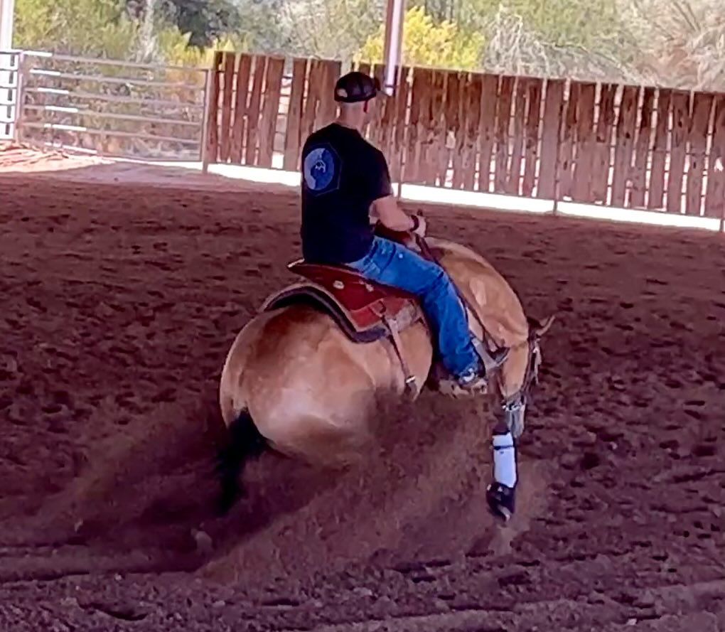 Epis Performance Horses