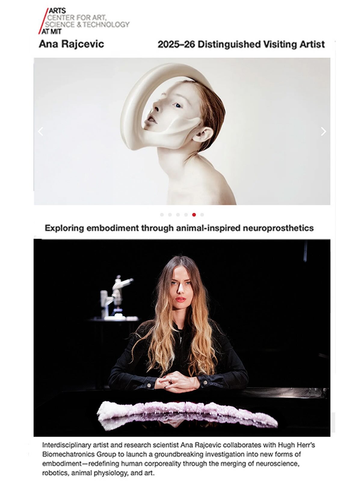 Ana Rajcevic Studio