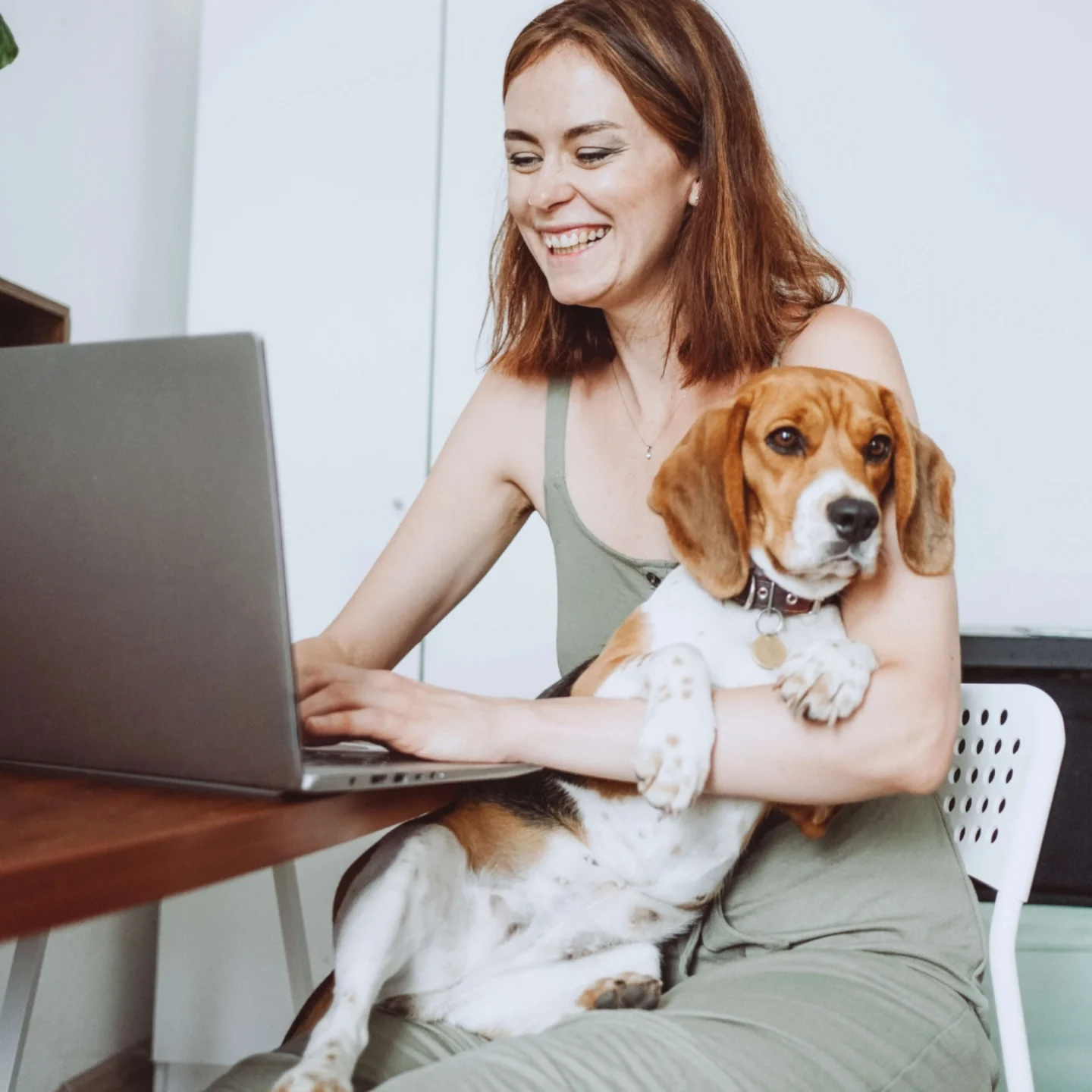 Bittal - ¿Sabías que...llevar a tu perro al trabajo ofrece múltiples ...