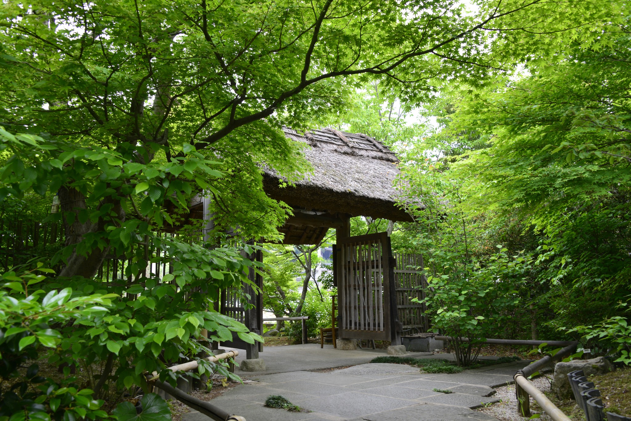 湯宿 草菴〔草庵〕 | Izumo-shi Shimane