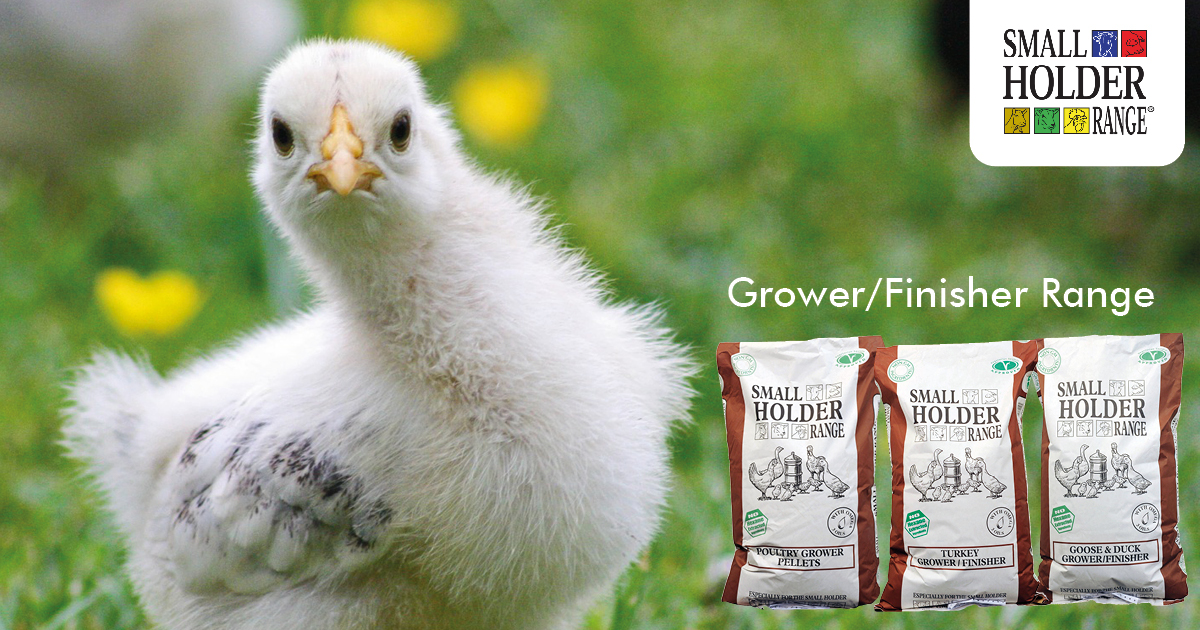 Smallholder Range includes high... - Smallholder Range