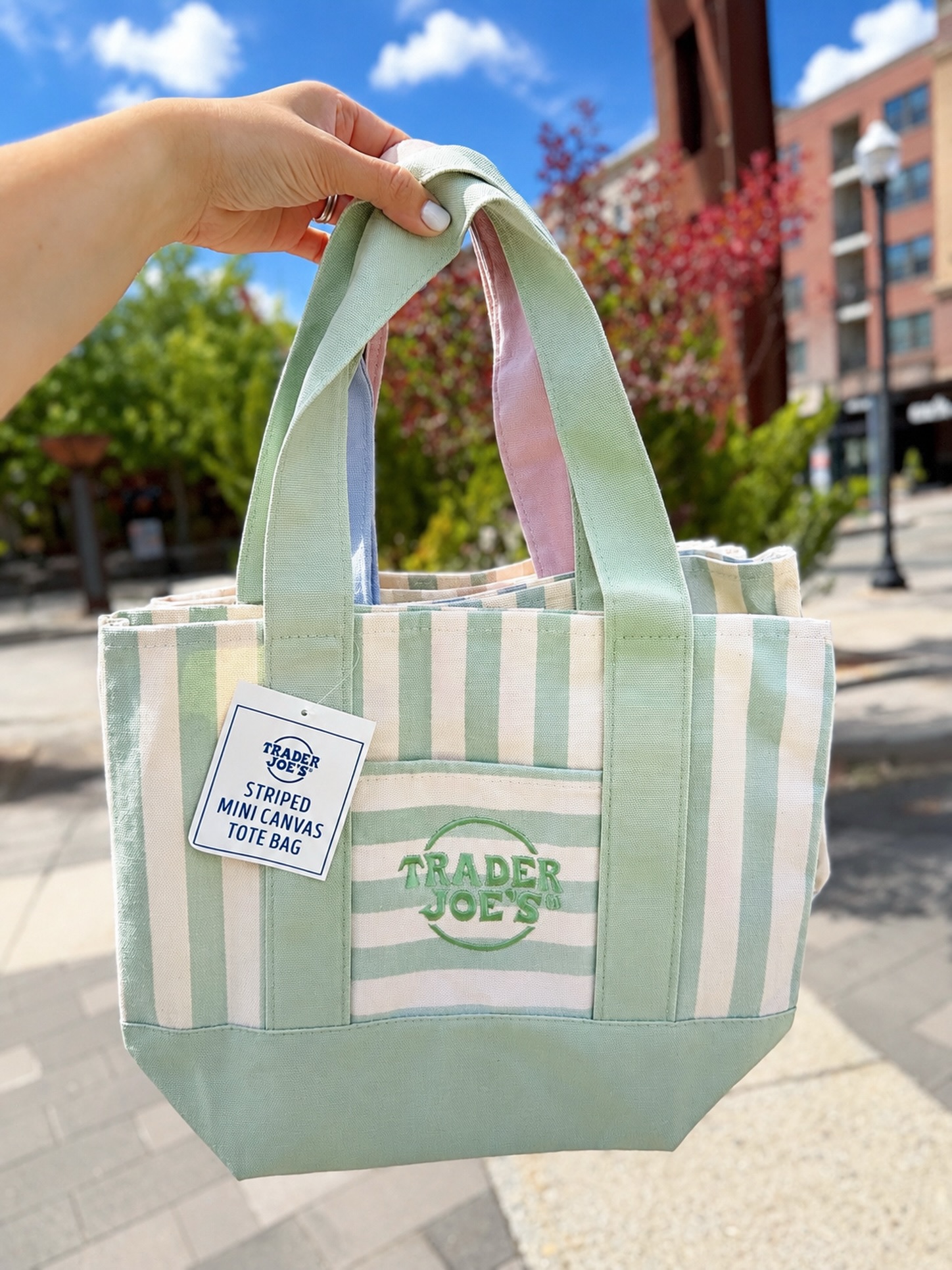 ICYMI 👀 the latest collection of canvas mini totes just dropped