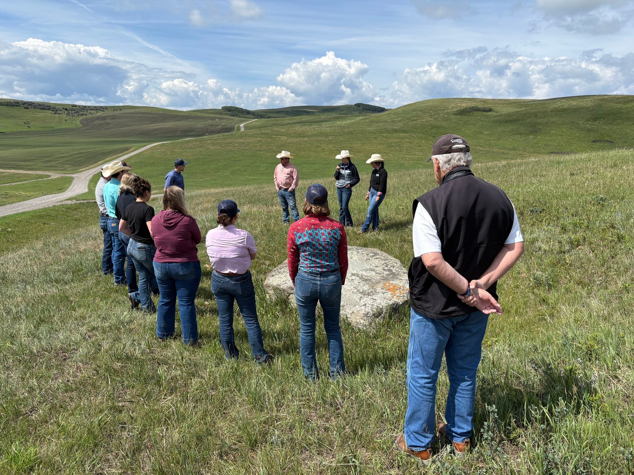 Chinook Ranch Ltd | Longview AB