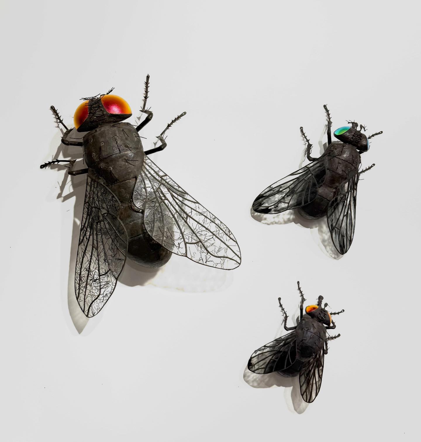 Sean Goddard Insects added a new photo. - Sean Goddard Insects
