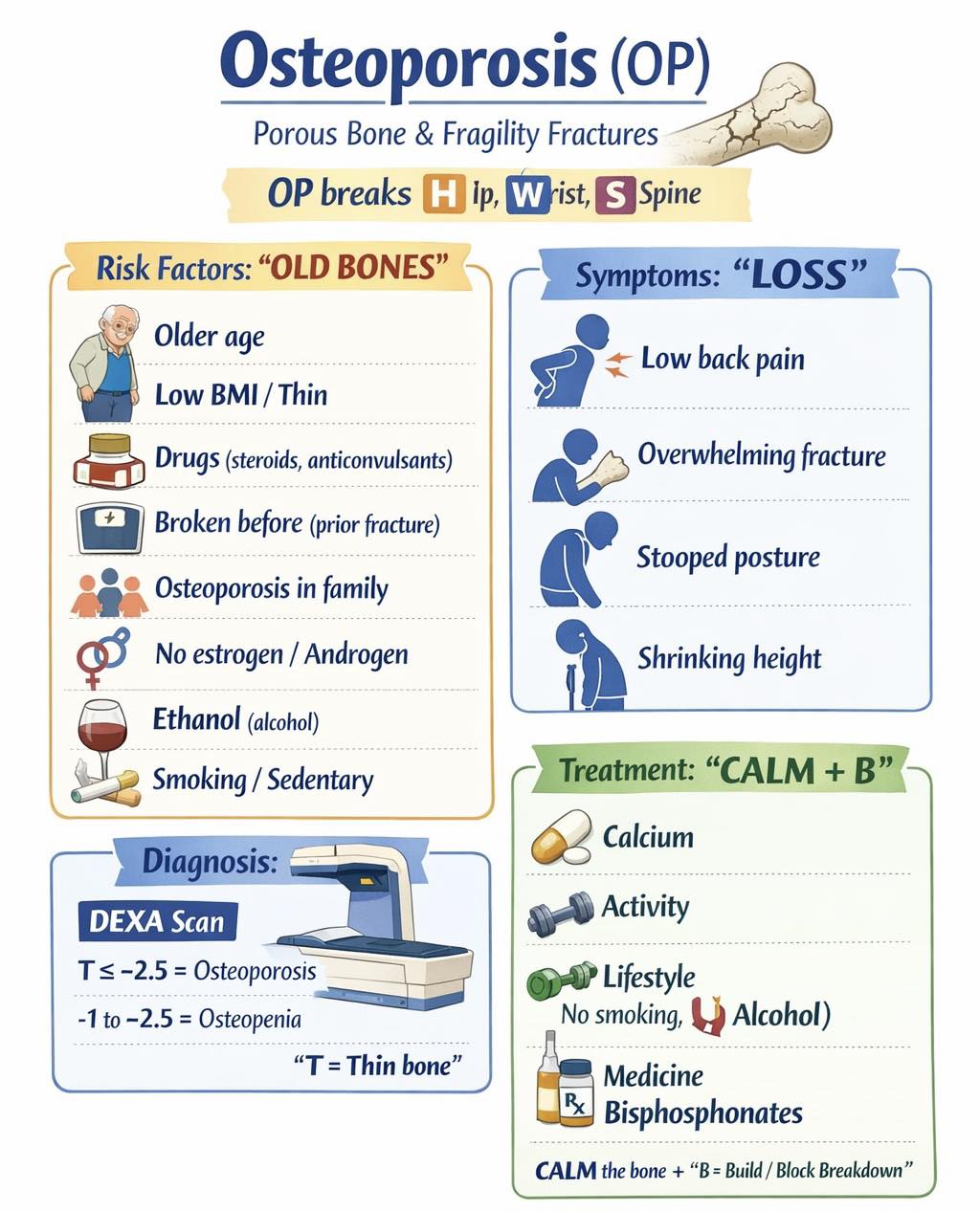 Med - Osteoporosis (OP) Definition: “Porous bone” → low bone density ...