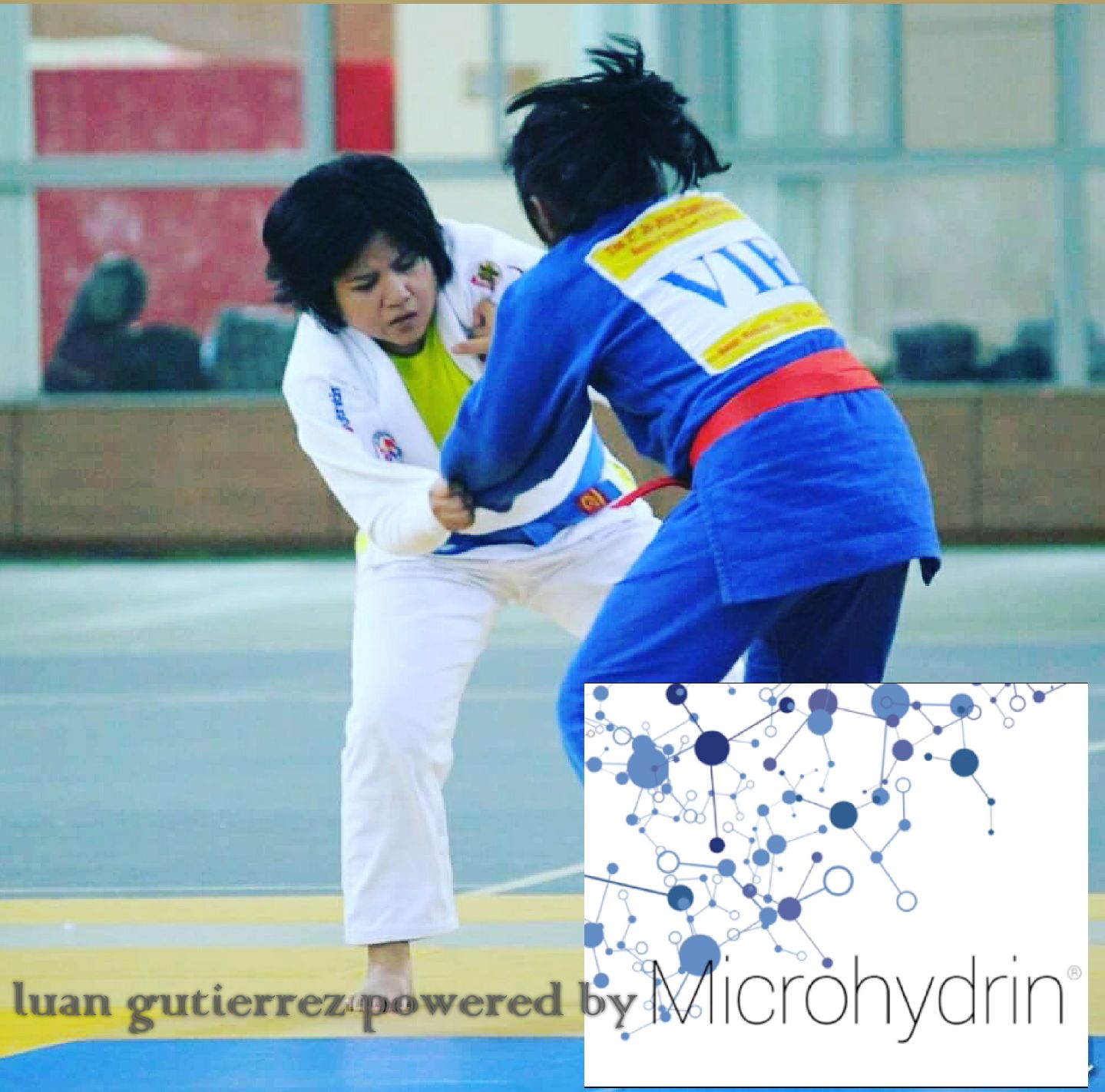 Supplements Microhydrin