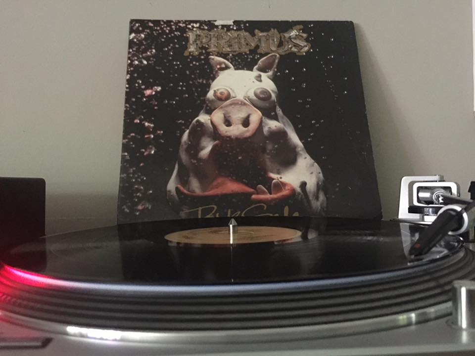 A PORKY PRIME CUT