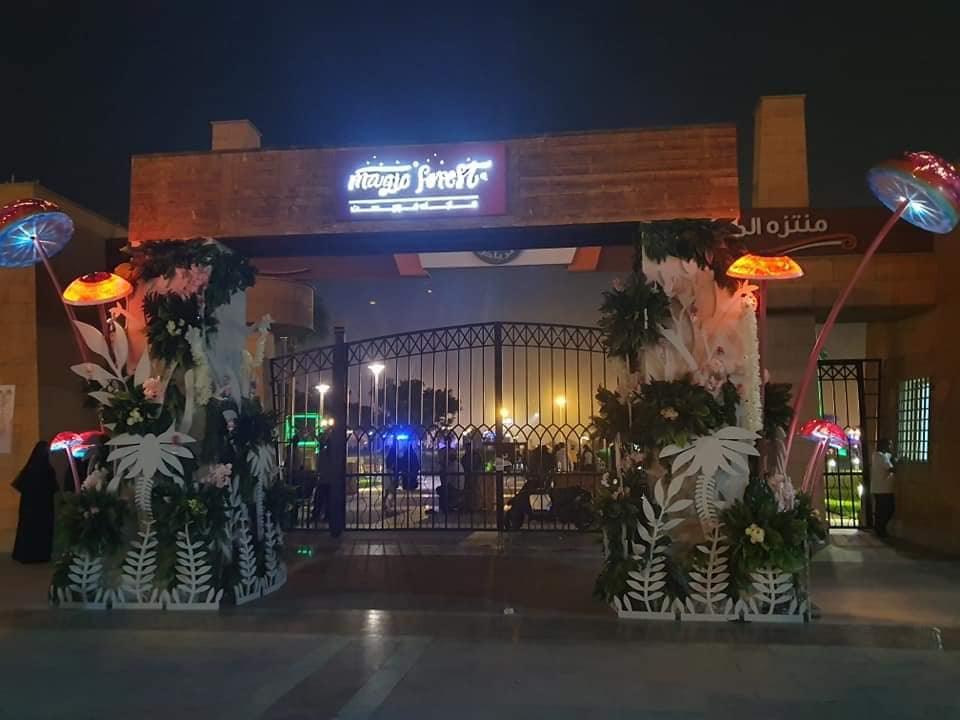 Saudi Daily - Magic Forest 🧙🏼‍♂️🌳at King Abdullah Park... | Facebook