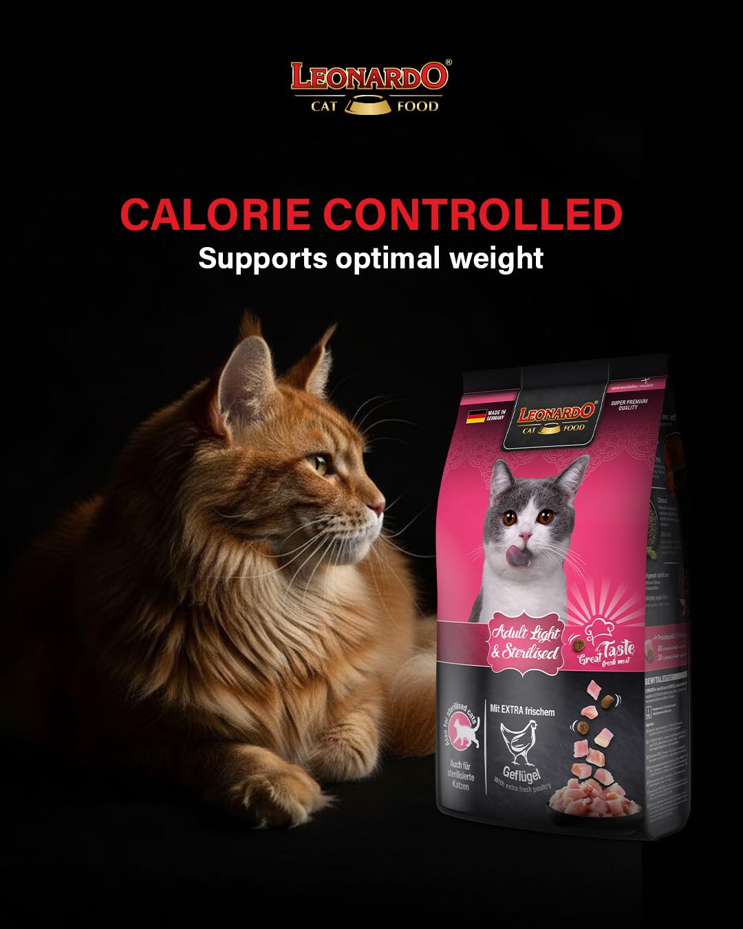 leonardo adult light & sterilised l-carnitine Maxi GF with poultry for large breed adult cats providing support for endurance exercise and during recovery from high intensity exercise. leonardo adult light & sterilised