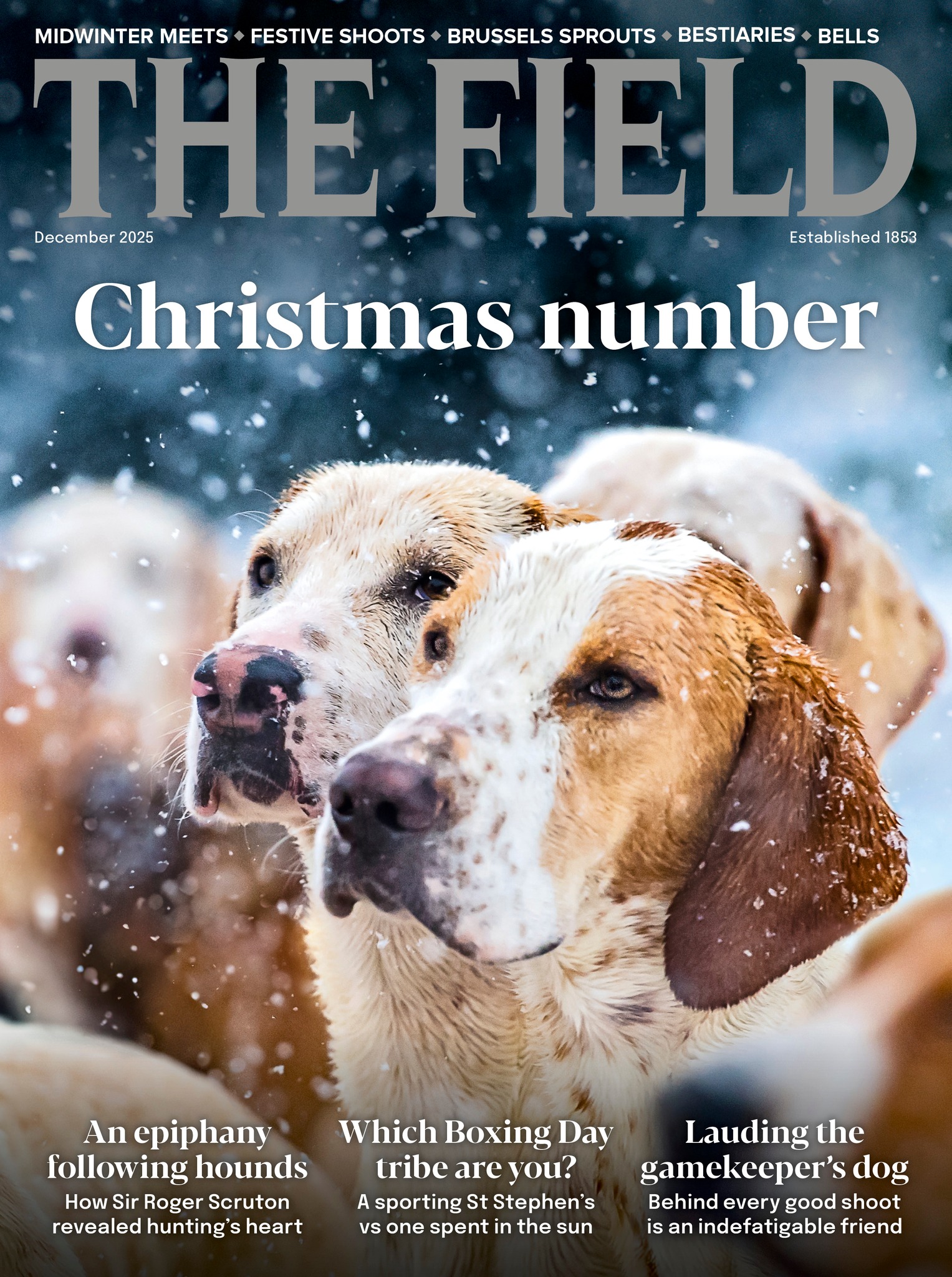 The long and short of shooting... - The Field Magazine | Facebook