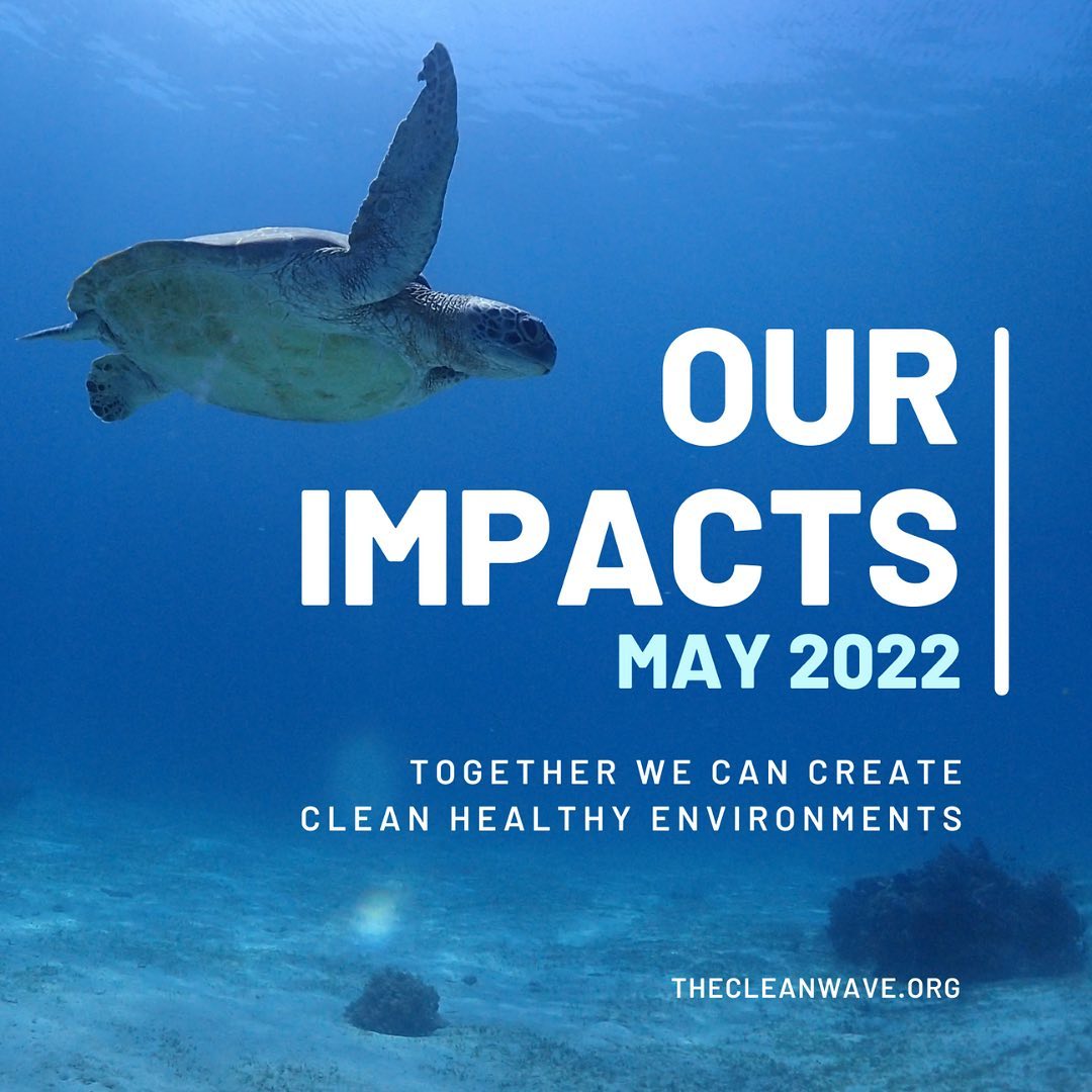 The Clean Wave - Today, during World Environment Day, we...