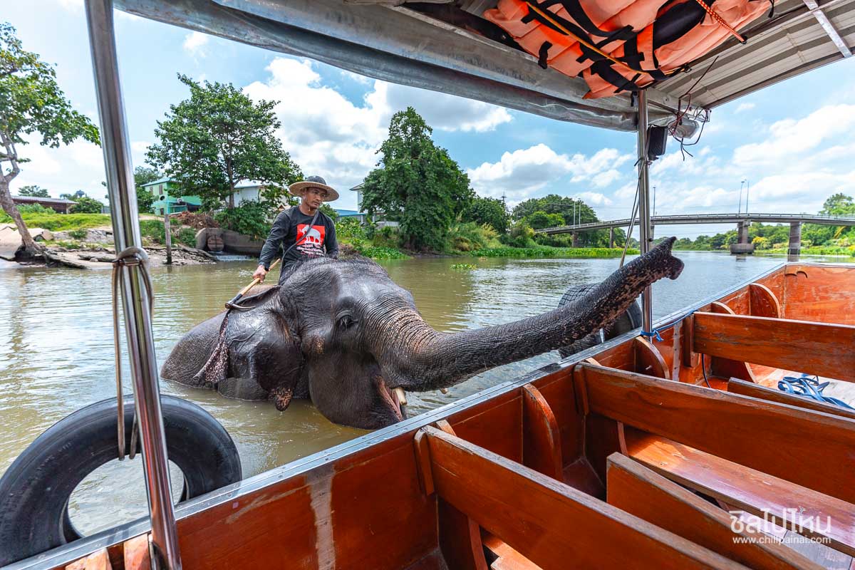 ChillTravel ชิลทราเวล ทัวร์ไฟไหม้ ใกล้วันเดินทาง - 🏡 แพ็คเกจ ไทรโยควิว ...