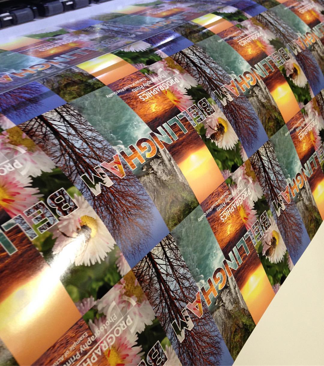 ProGraphics | Bellingham WA