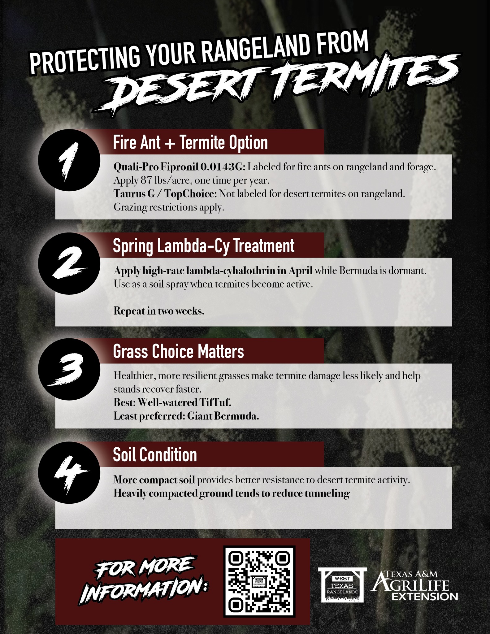 West - So far the best tools for preventing/managing desert termites ...