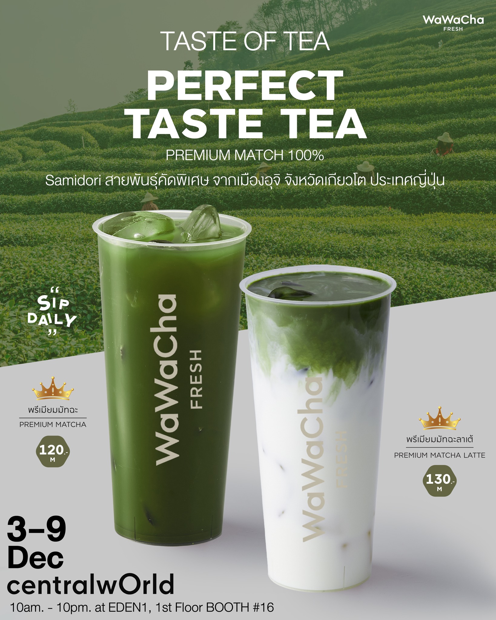 Wawa Cha - 🍵 TASTE OF TEA • PERFECT TASTE MATCHA 🍃... | Facebook