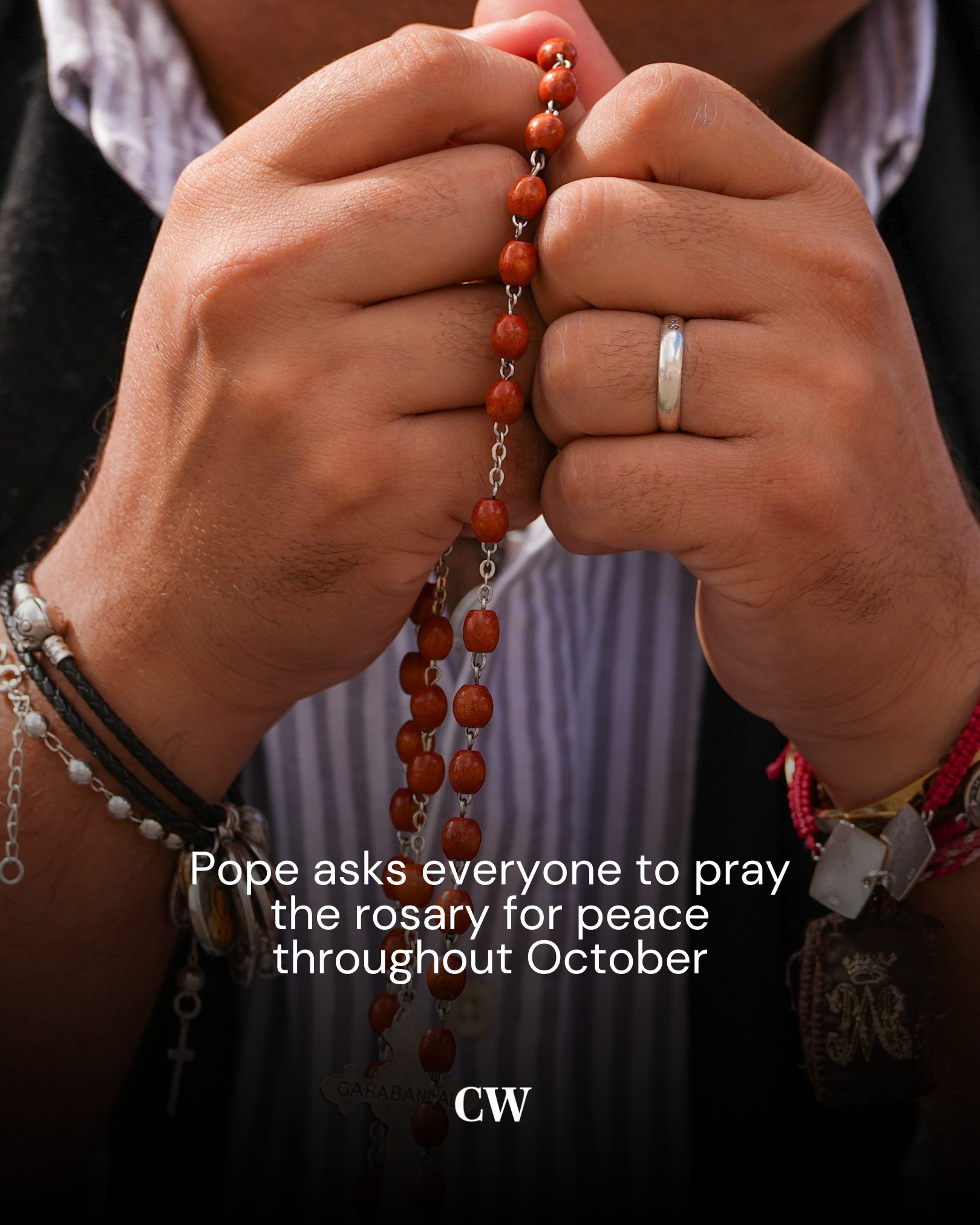 The Catholic - Pope Leo XIV asked Catholics to pray the rosary each day ...