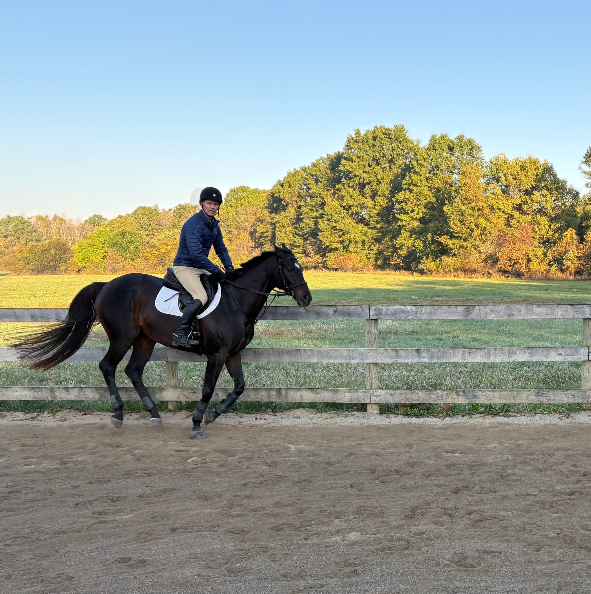 Grenoble Stables LLC added a new photo. - Grenoble Stables LLC
