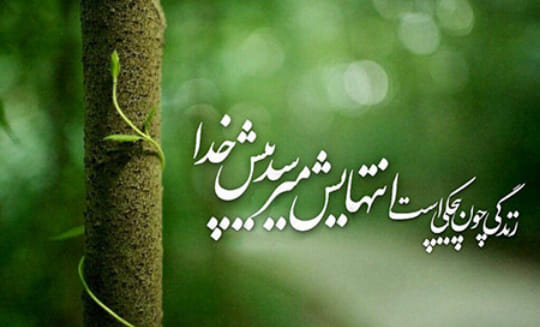Mahboba Anwari