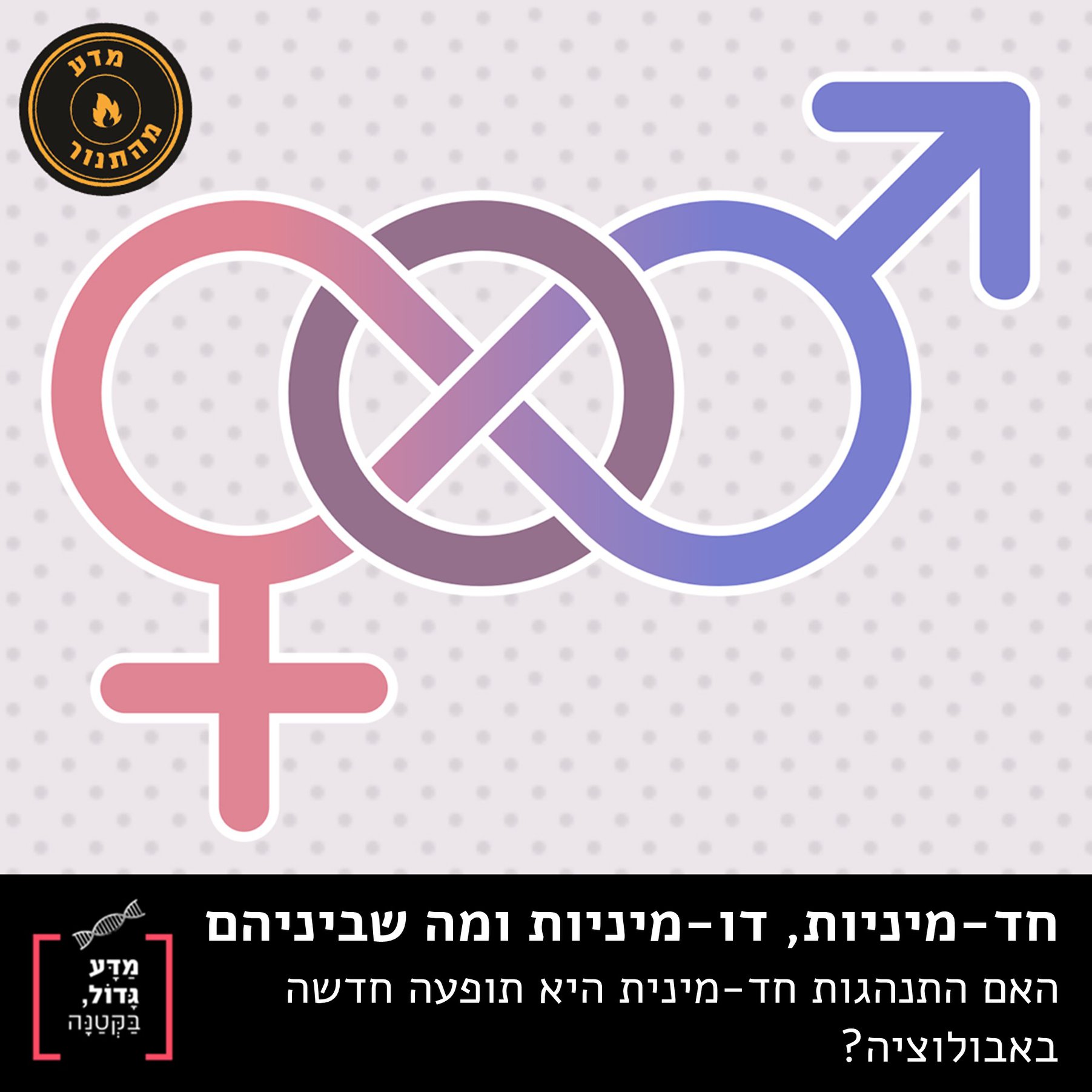 מדע גדול, בקטנה - בקטנה: התנהגות חד-מינית נתפסת כתופעה הגובה מחיר ...