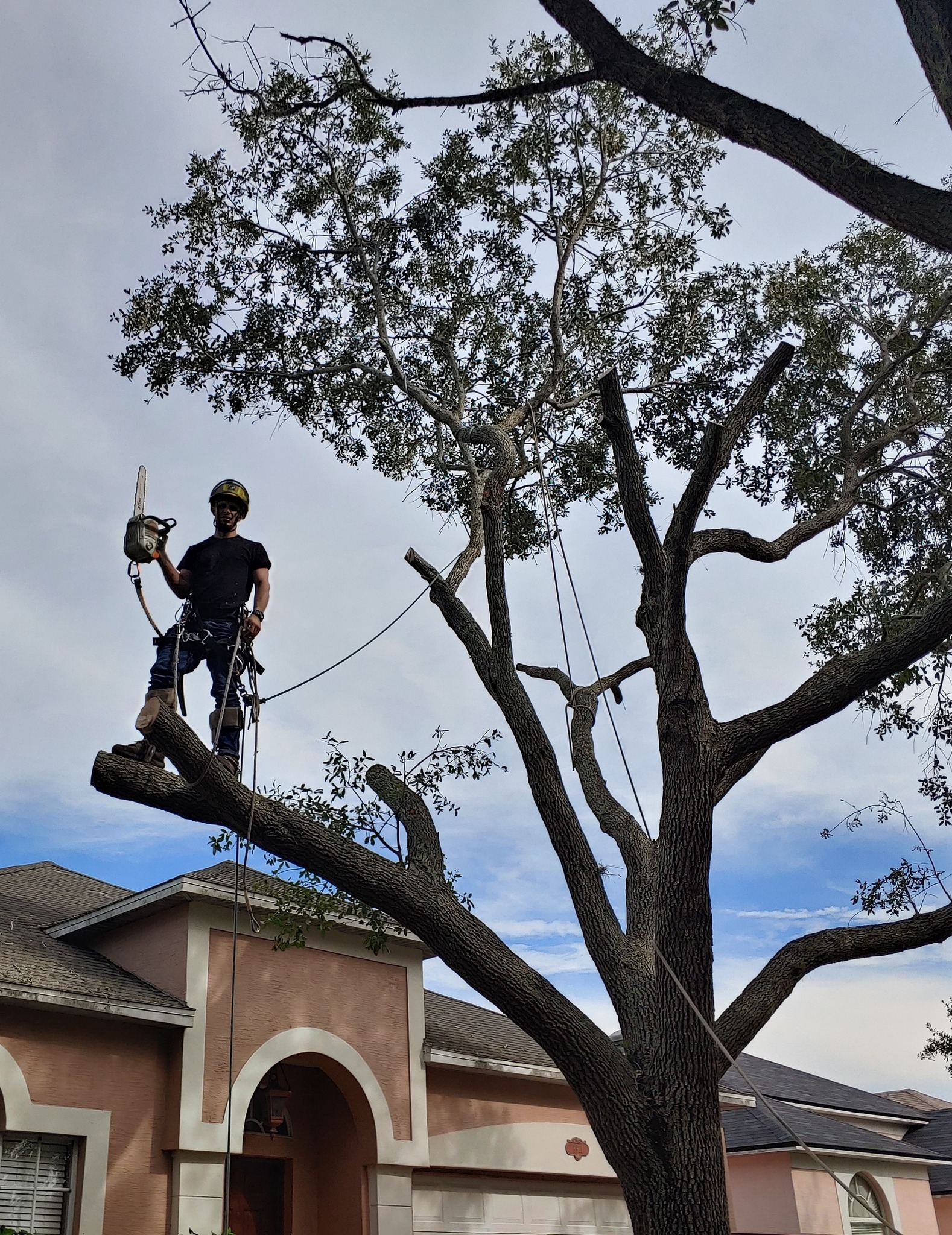 Complete Upkeep LLC Tree Service & Pressure Washing