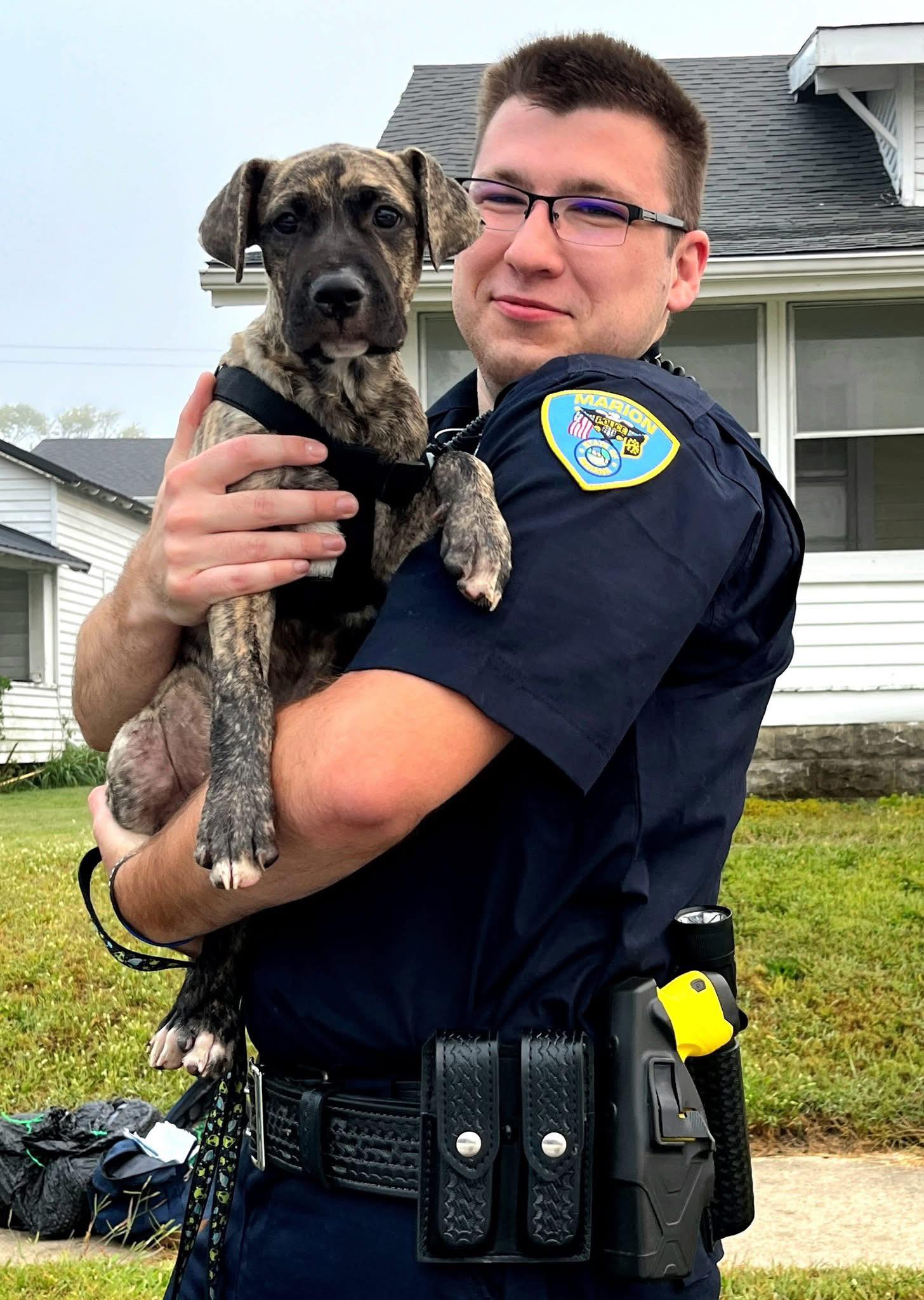 Channel - Breaking News: This suspect couldn’t escape the cuddles! 🐾💙 A ...