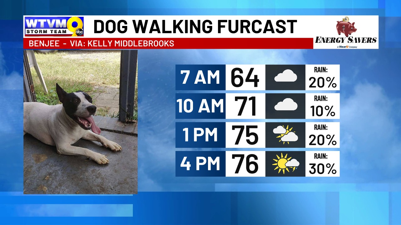 WTVM Weather - Let's find Benjee a good home! His owner... | Facebook