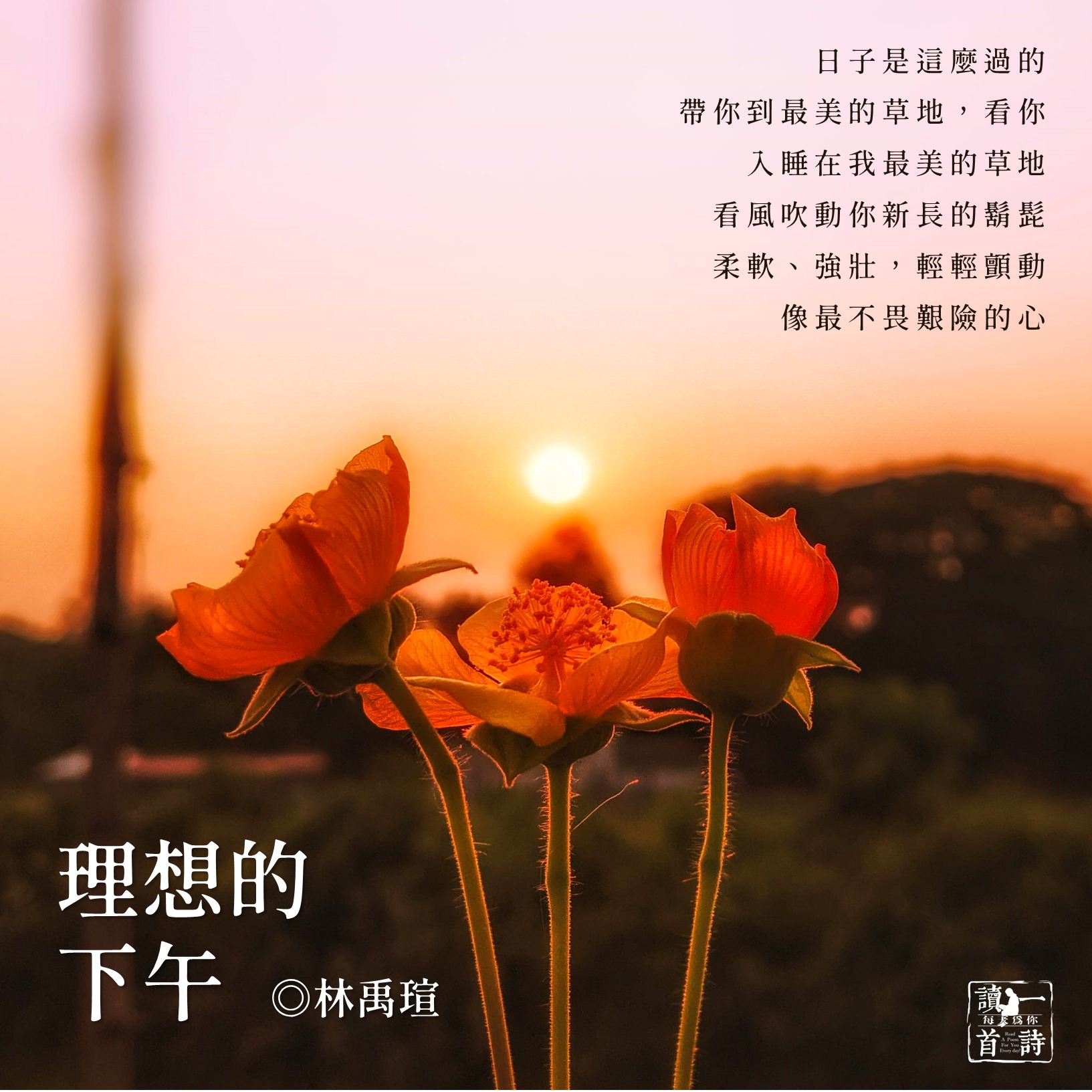 每天為你讀一首詩 - 雁 #白萩 我們仍然活著。仍然要飛行 在無邊際的天空 地平線長久在遠處退縮地引逗著我們 活著。不斷地追逐 感覺它已接近而 ...