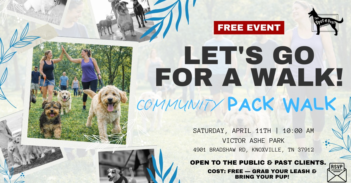 Let's Go For A Walk! (Free Community Pack Walk) 🌳