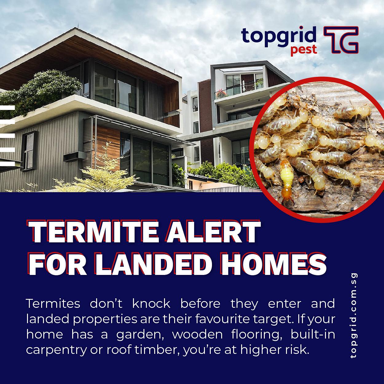 Topgrid Pest... - Topgrid Pest Specialist Singapore