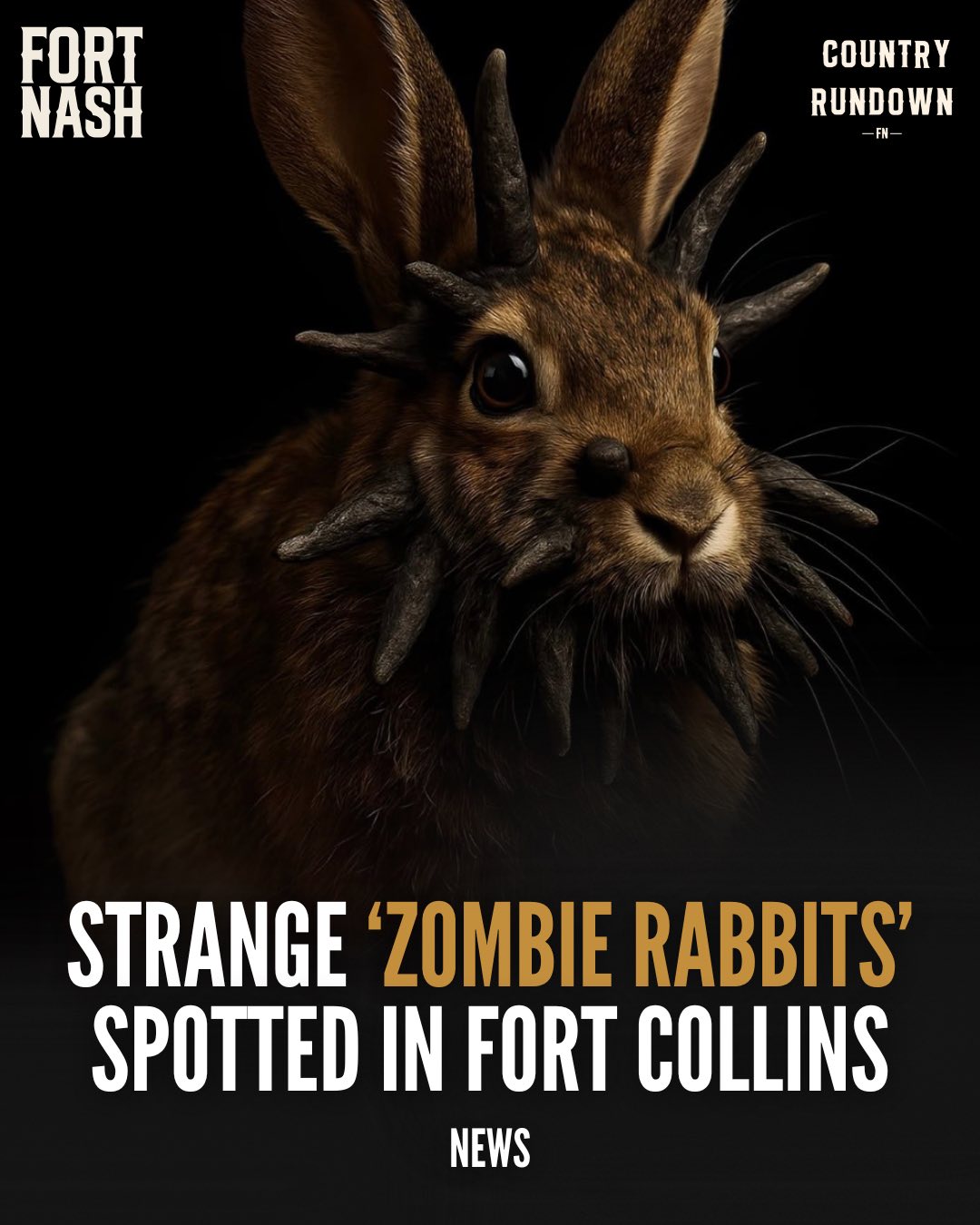 Fort Nash - Wild cottontail rabbits with black, horn-like... | Facebook