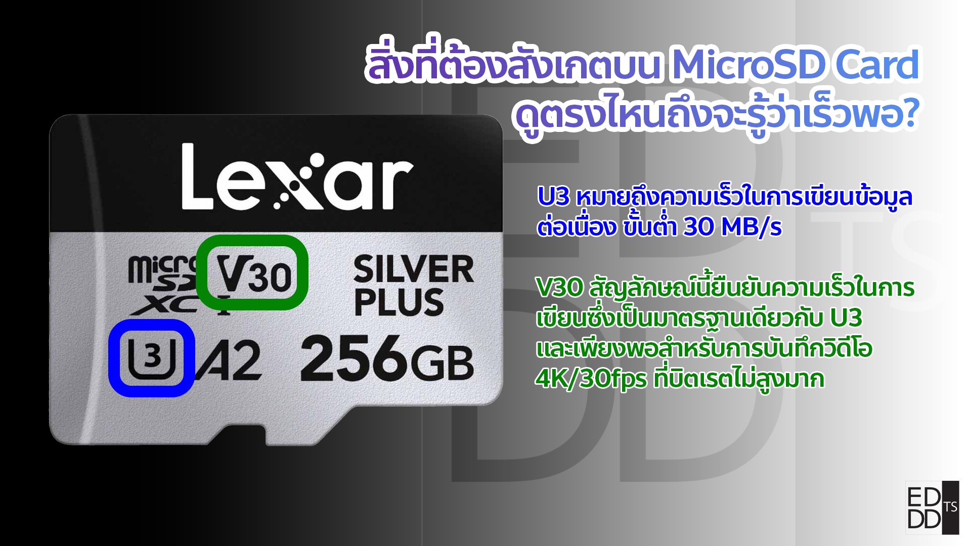 EDDD - 1️⃣ สิ่งที่ต้องสังเกตบน MicroSD Card: ดูตรงไหนถึงจะรู้ว่าเร็วพอ ...