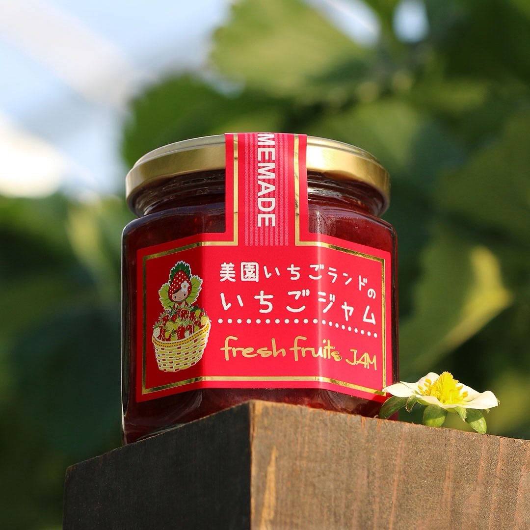 美園 いちご ランド
