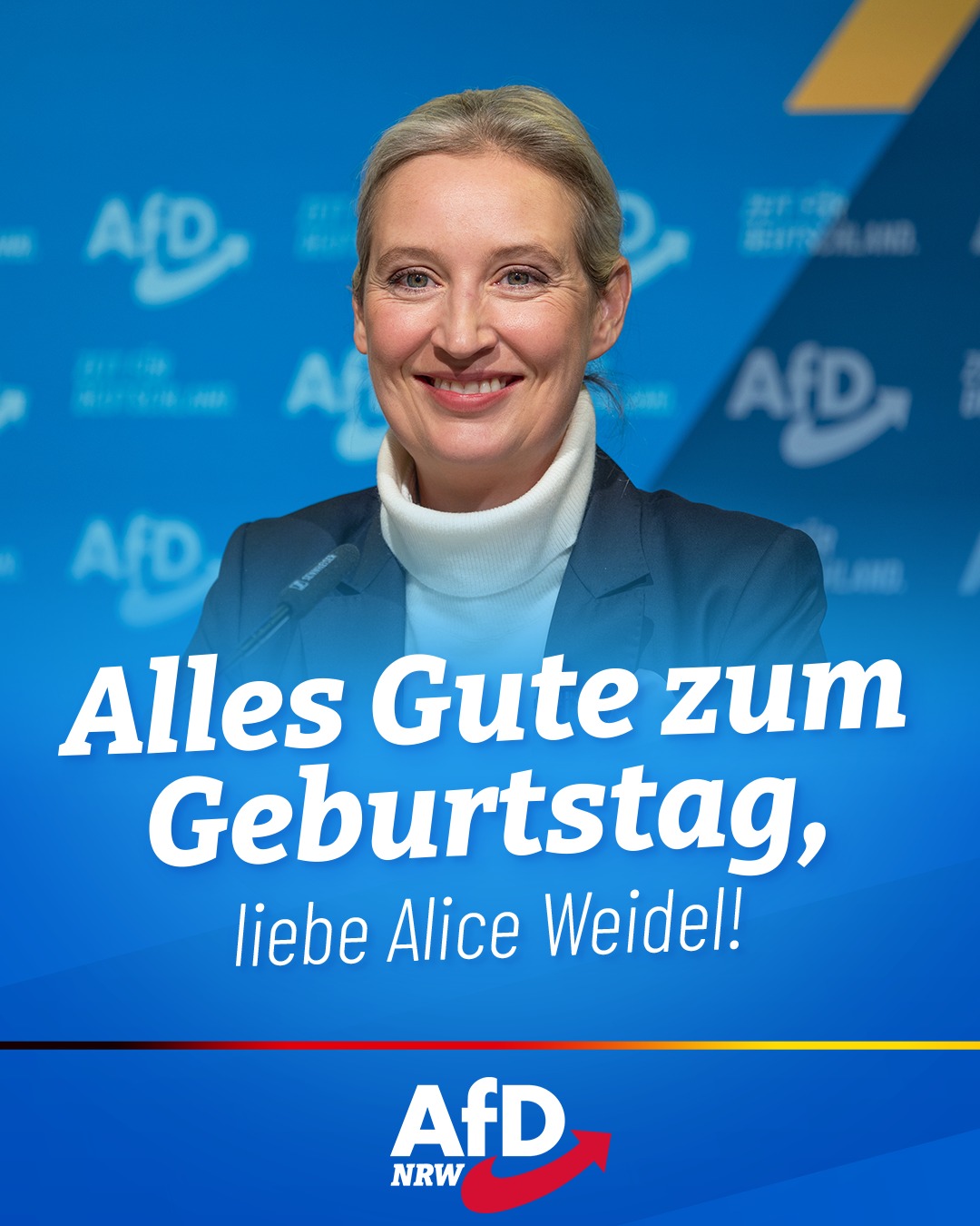 Alternative für Deutschland AfD Bochum